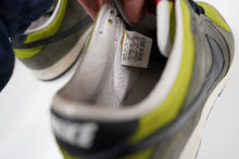 Load image into Gallery viewer, Nike Dunk Low Pro Kermit (2005)