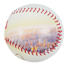 Load image into Gallery viewer, Supreme Rawlings REV1X Aerial Baseball