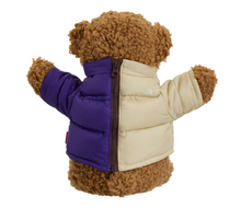 Load image into Gallery viewer, Supreme The North Face Bear