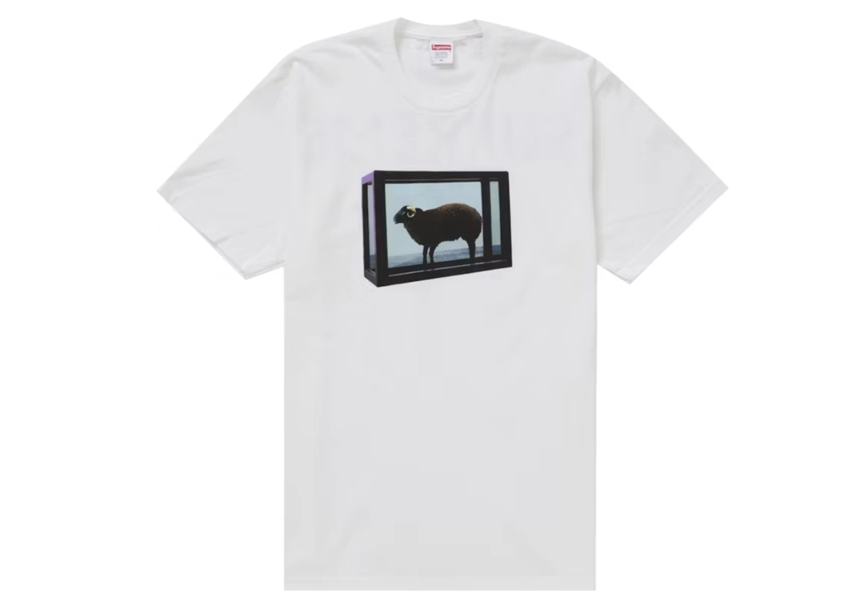 Supreme Damien Hirst Tee