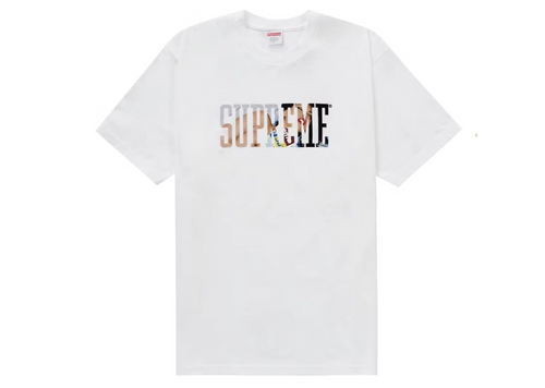 Supreme Tera Patrick Collegiate Tee