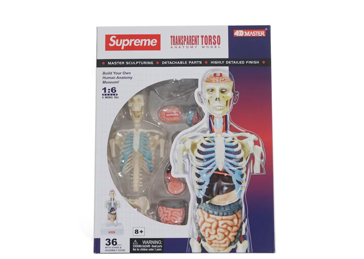 New Supreme 4D Master Human Anatomy Model Female Transparent