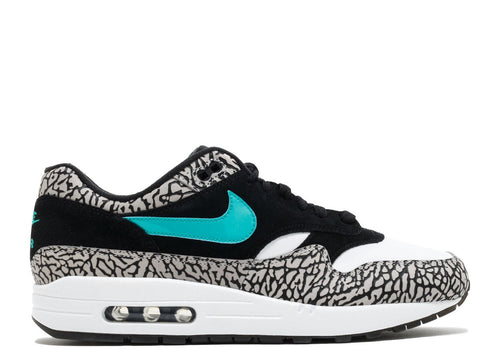 Nike Air Max 1 Atmos x Jordan