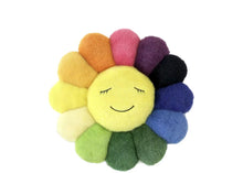 Load image into Gallery viewer, Takashi Murakami Flower Plush 30CM (Rainbow/White)