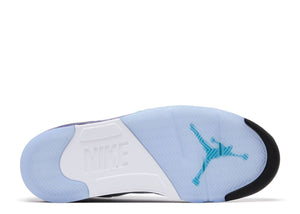 Air Jordan 5 Retro Grape (2025)
