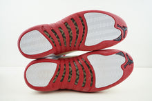 Load image into Gallery viewer, Air Jordan 12 Retro PE Mike Bibby (Promo Sample)