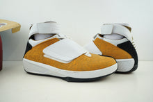 Load image into Gallery viewer, Air Jordan 20 OG East Coast Chutney