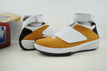 Load image into Gallery viewer, Air Jordan 20 OG East Coast Chutney