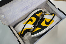 Load image into Gallery viewer, Nike SB Dunk Low Bic (2006)
