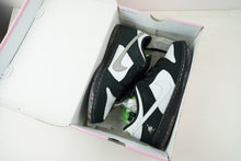 Load image into Gallery viewer, Nike SB Dunk Low Staple Panda Pigeon