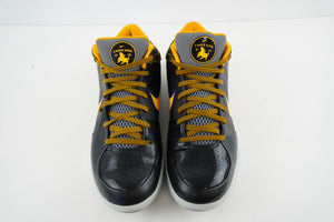 Nike Kobe 4 Protro Carpe Diem