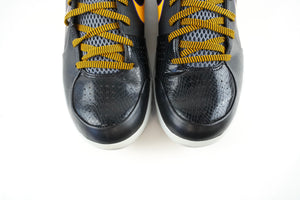 Nike Kobe 4 Protro Carpe Diem
