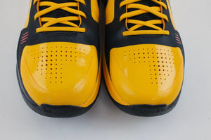 Nike Kobe 5 Protro Bruce Lee