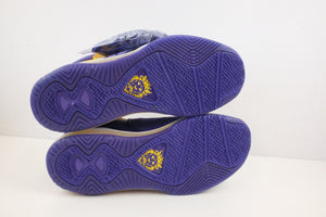 Nike LeBron 8 Lakers