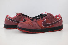 Load image into Gallery viewer, Nike SB Dunk Low Concepts Red Lobster