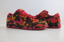 Load image into Gallery viewer, Nike SB Dunk Low The Wizard of Oz Poppy Field