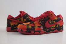 Load image into Gallery viewer, Nike SB Dunk Low The Wizard of Oz Poppy Field