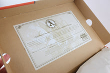 Load image into Gallery viewer, Nike Air Force II Alpha Physical Club