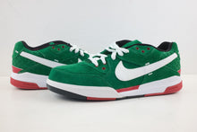 Load image into Gallery viewer, Nike Zoom Paul Rodriguez 3 Cinco De Mayo