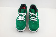 Load image into Gallery viewer, Nike Zoom Paul Rodriguez 3 Cinco De Mayo