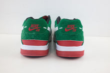 Load image into Gallery viewer, Nike Zoom Paul Rodriguez 3 Cinco De Mayo