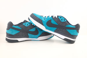 Nike SB Zoom Paul Rodriguez 3 Aquamarine