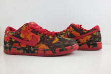 Load image into Gallery viewer, Nike SB Dunk Low The Wizard of Oz Poppy Field
