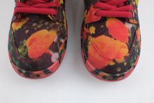 Load image into Gallery viewer, Nike SB Dunk Low The Wizard of Oz Poppy Field