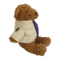 Load image into Gallery viewer, Supreme The North Face Bear
